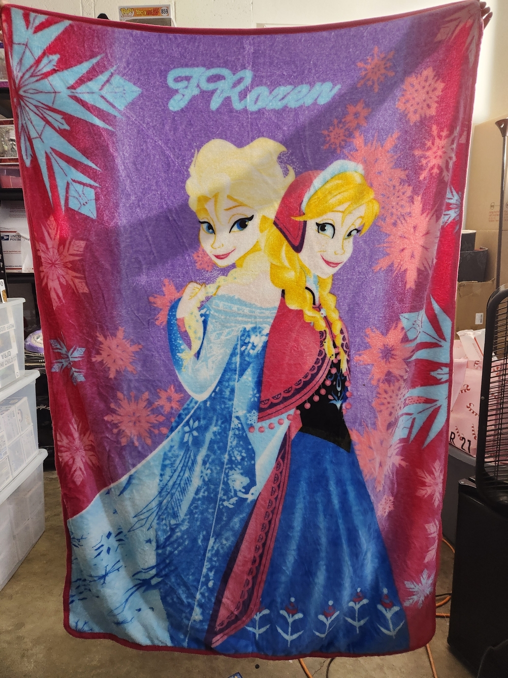 Disney Pink Purple Blue Frozen Elsa & Anna Plush Blanket